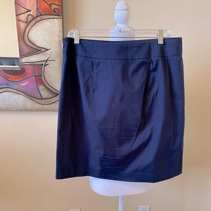 Ann Taylor Factory Navy Skirt, 10